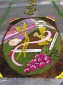 00 - Infiorata 2008 (5)